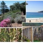 monterey collage 1