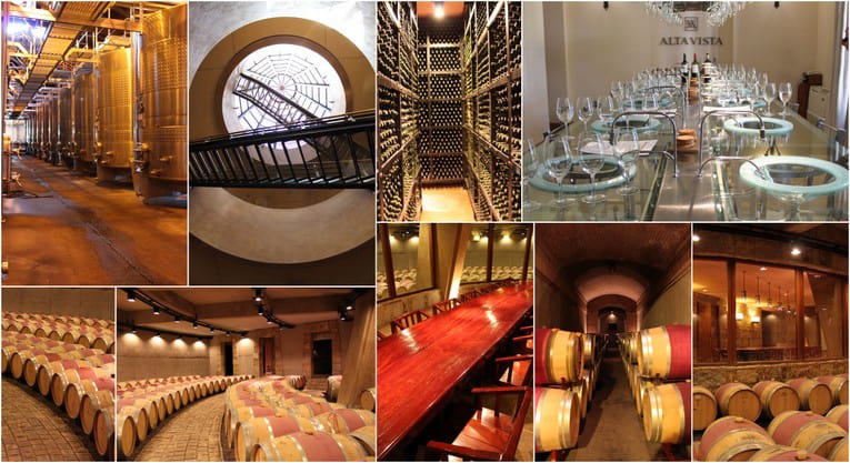 Mendoza wineries