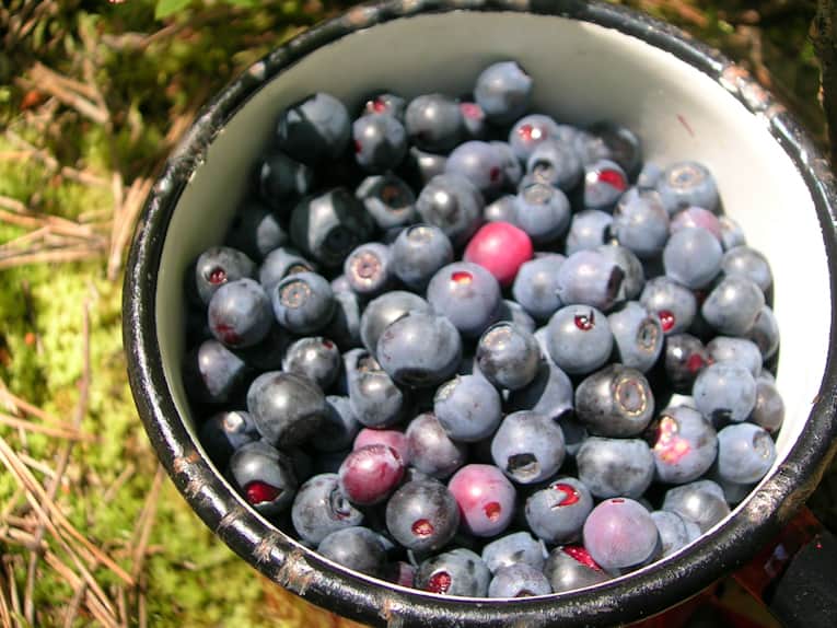 Blueberries