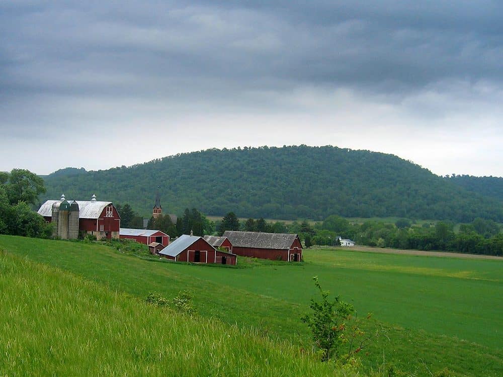 photo of a farm - benefits of organic milk