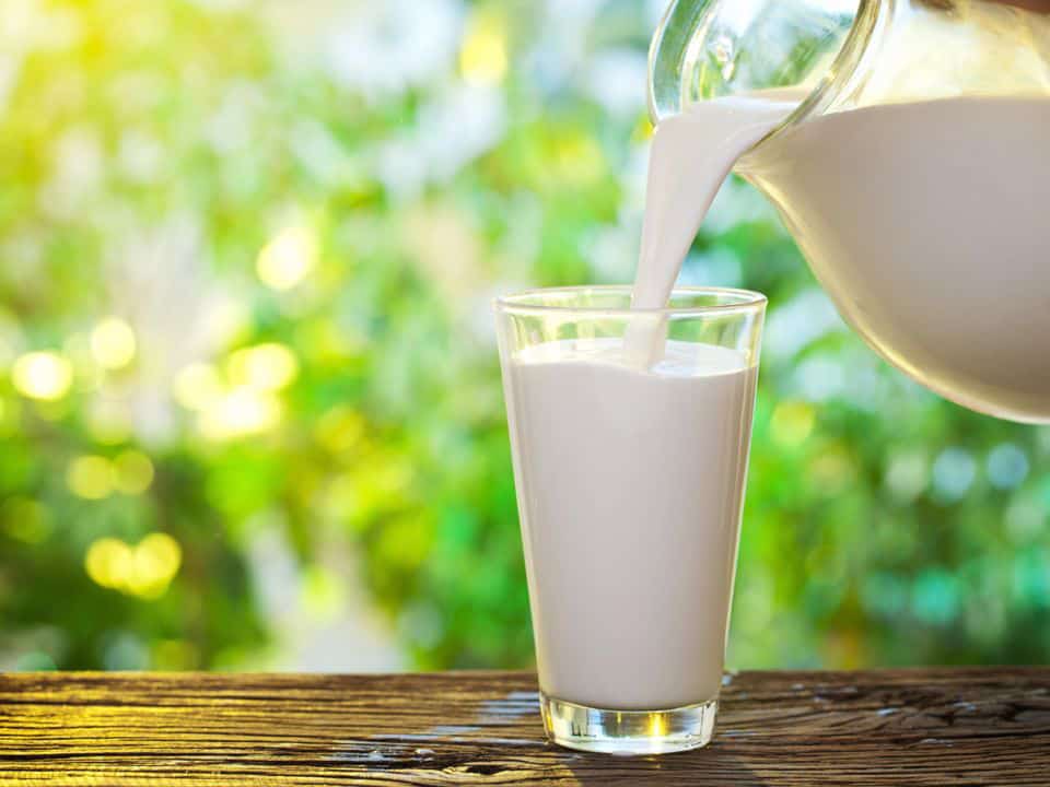 Benefits Of Organic Milk Vs Regular Milk The Picky Eater