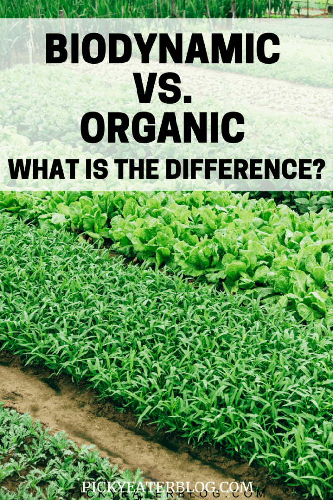 What exactly is biodynamic farming? This post breaks down the benefits, as well as the differences between biodynamic farming and organic farming!