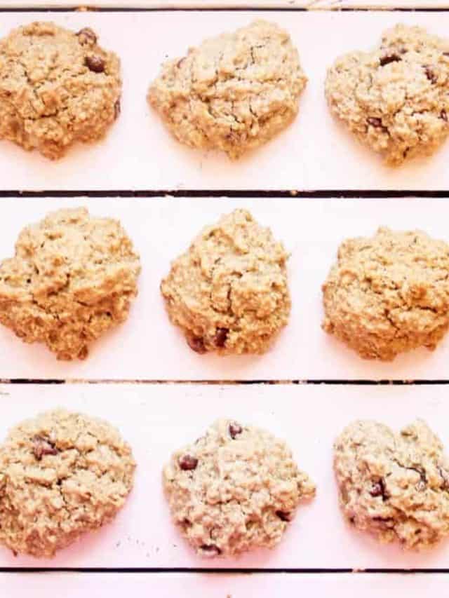Vegan Lactation Cookies Recipe (Gluten Free, Healthy) Story The Picky Eater