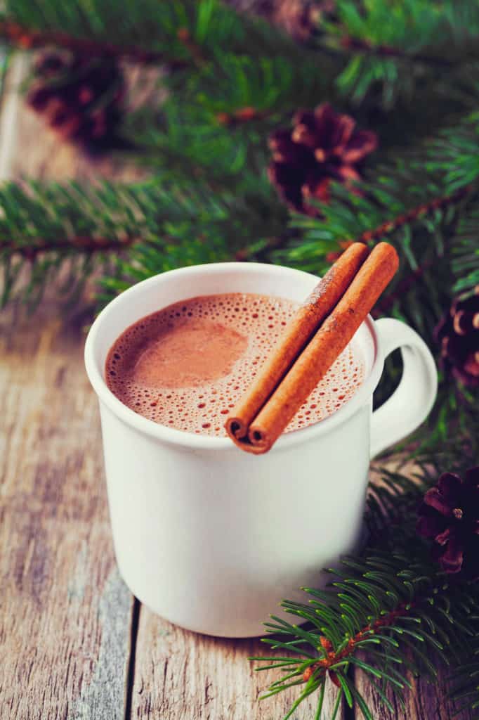 healthy hot chocolate with cinnamon, pictured in a white cup with a cinnamon stick on top