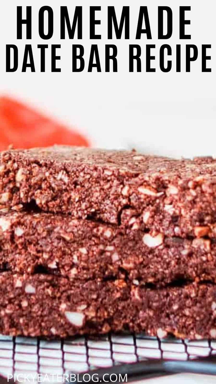 Healthy Food No Bake Healthy Date Bars (Homemade Lara Bar Recipe)