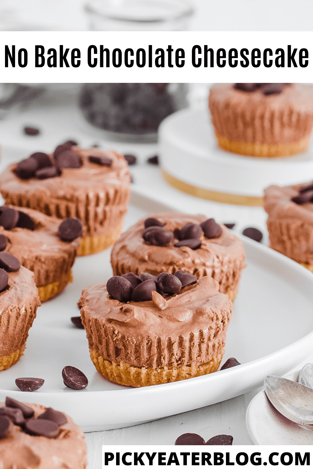 Healthy Food No Bake Chocolate Cheesecake (Easy Recipe!)