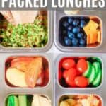 25 packed lunch ideas