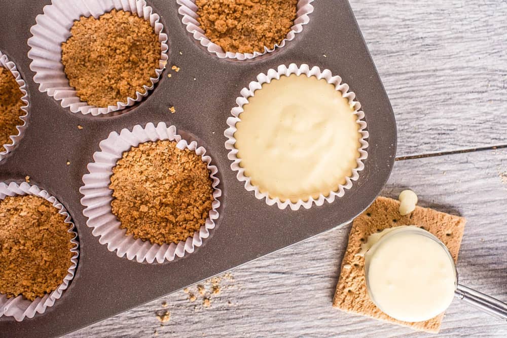 graham cracker crust and cheese filling in muffin tins