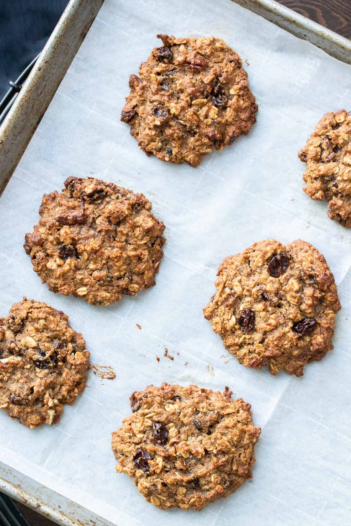 Gluten free oatmeal raisin cookies freshly baked on the cookie sheet.