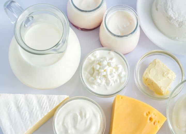 cheese, yogurt and dairy