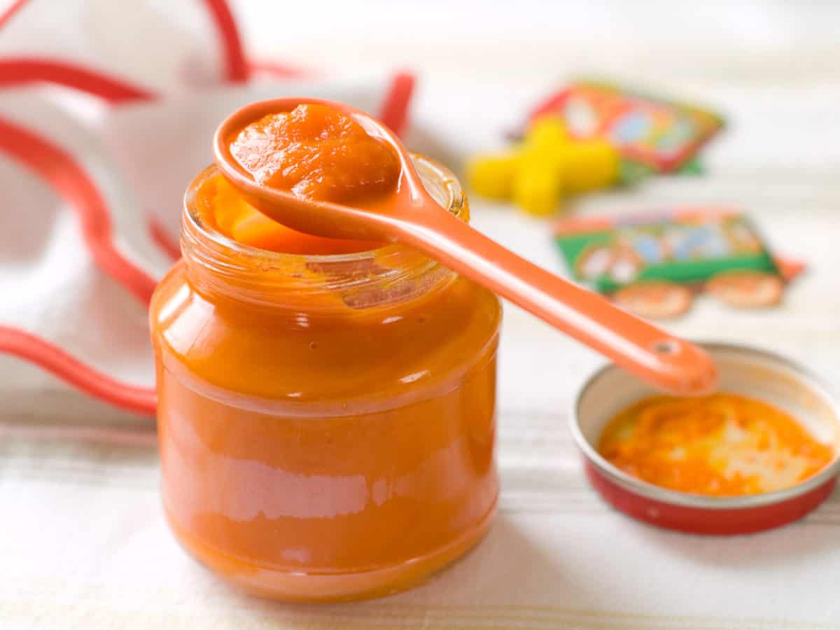 how-to-store-homemade-baby-food-like-a-pro-the-picky-eater