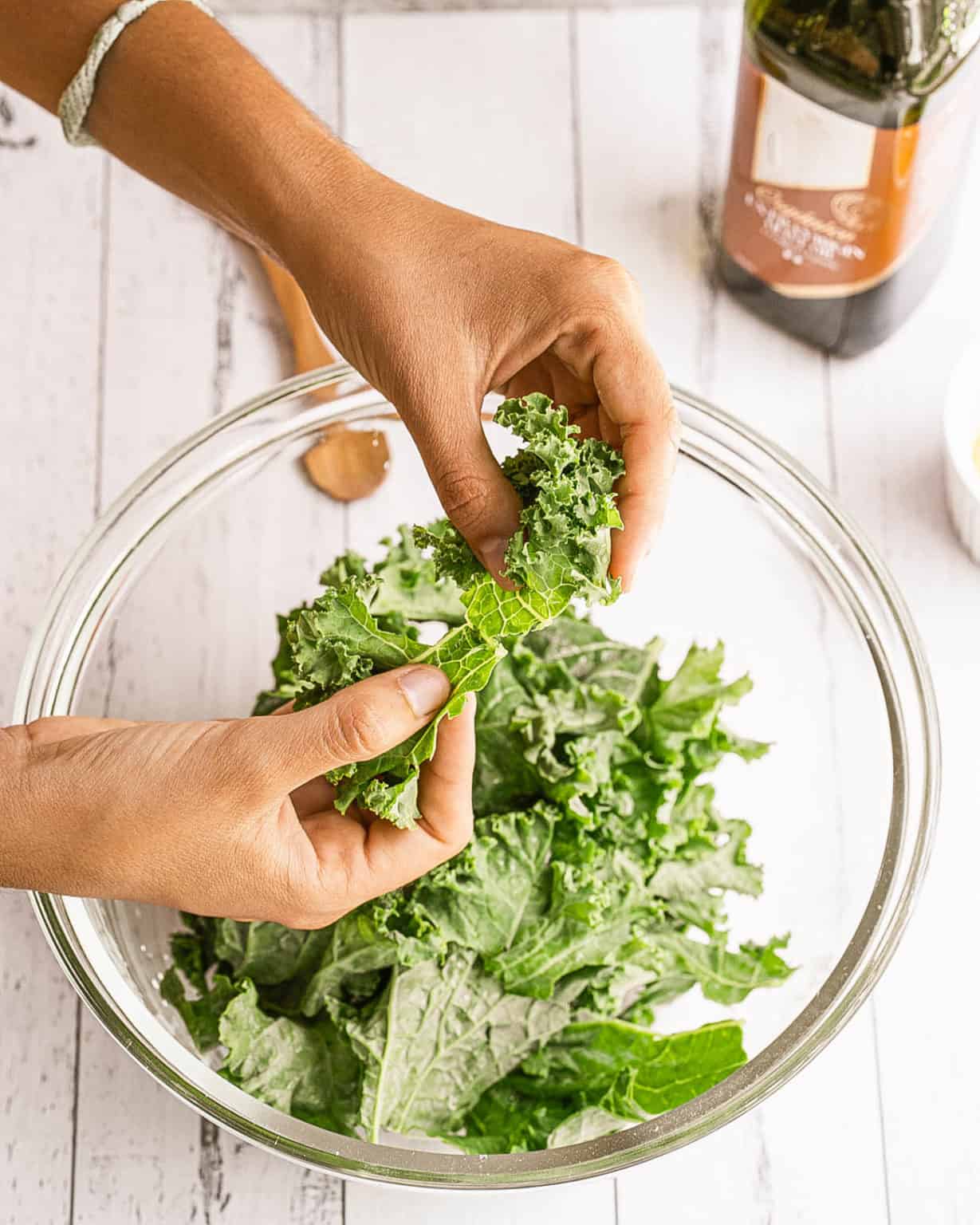 Crispy Parmesan Kale Chips Recipe With Garlic (Baked!) The Picky Eater