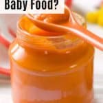carrot puree baby food in jar