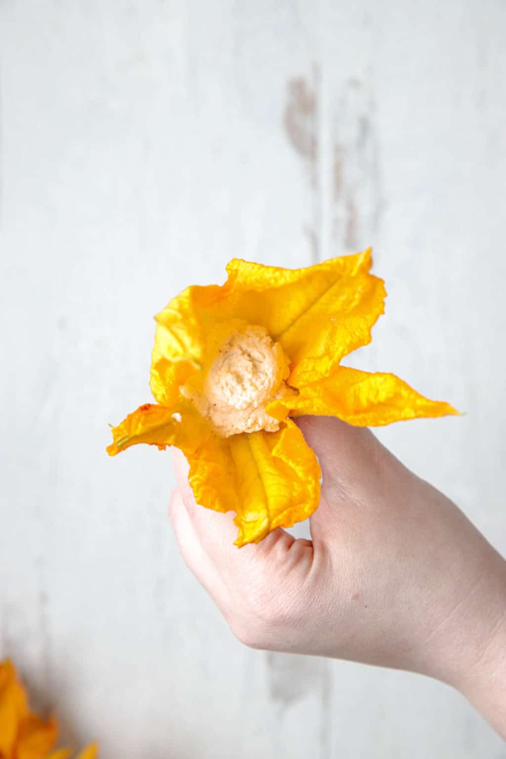 Stuffed Zucchini Flowers The Picky Eater