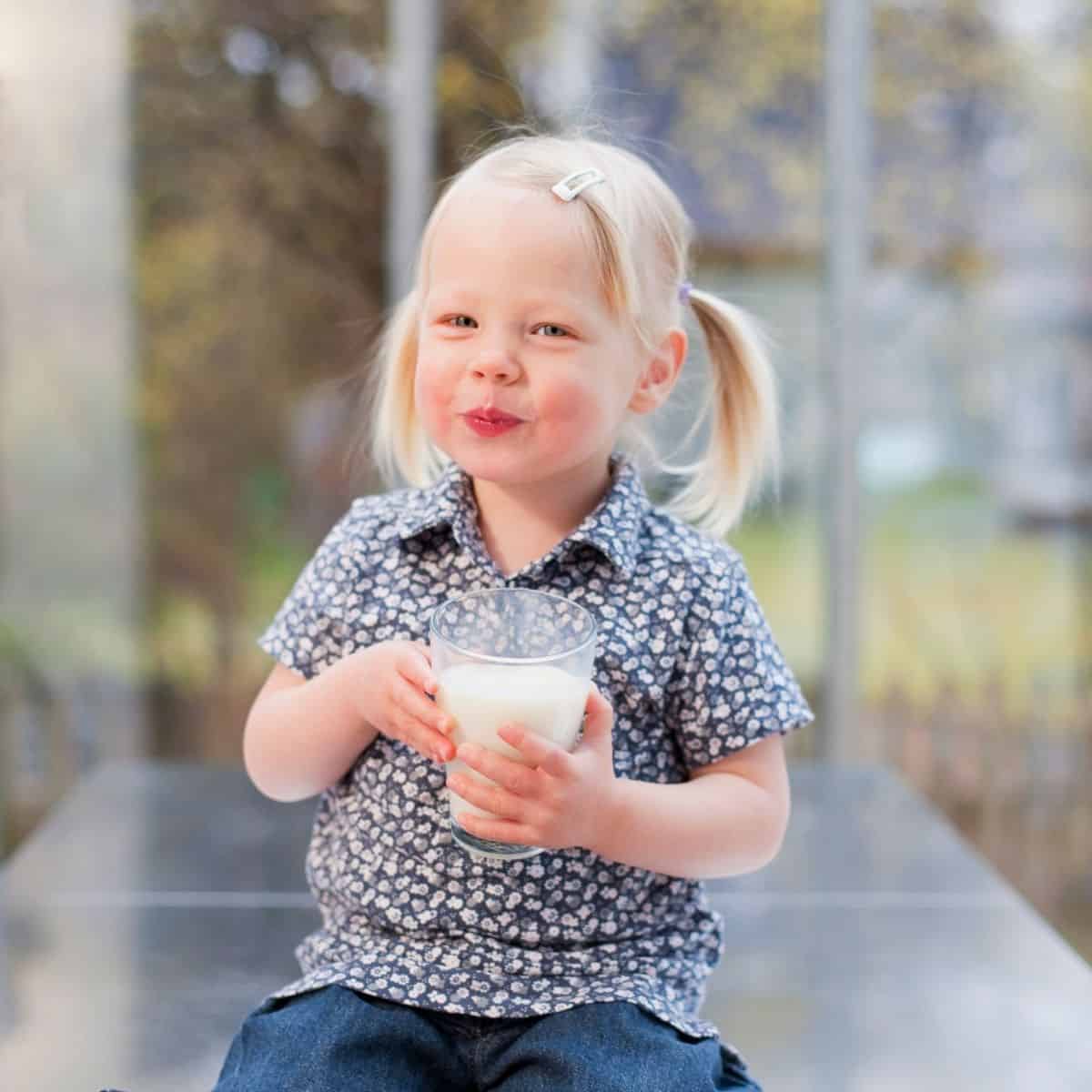 little girl drinking glass of toddler formula.
