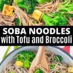 soba noodles in pot with tofu and broccoli