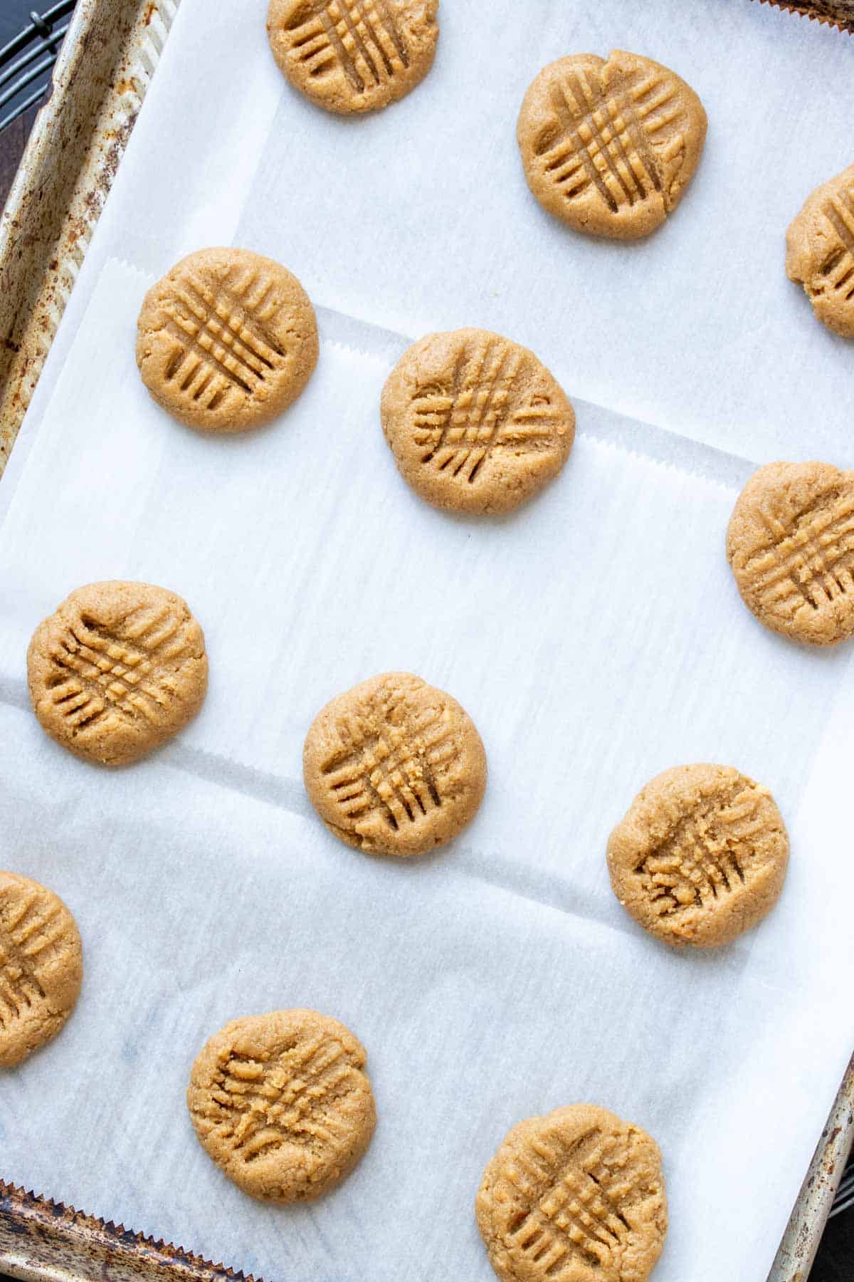 Vegan gluten-free peanut butter cookies on parchment paper, on a baking sheet, fresh out of the oven.