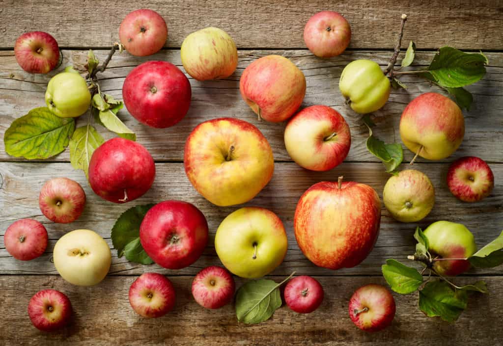 various kinds of fresh apples on wooden table, top view