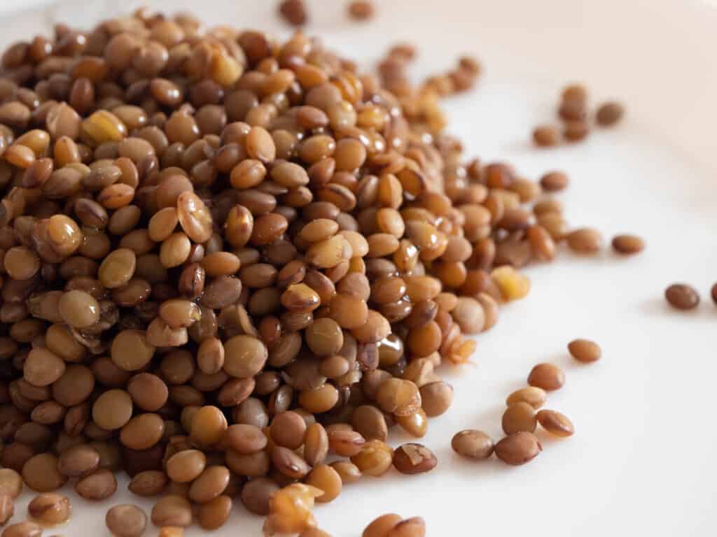 Cooked brown lentils on a white dish.