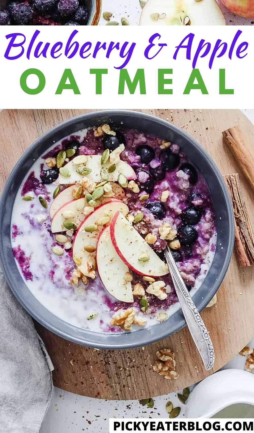 Healthy Healthy Oatmeal Recipes Recipes The Picky Eater