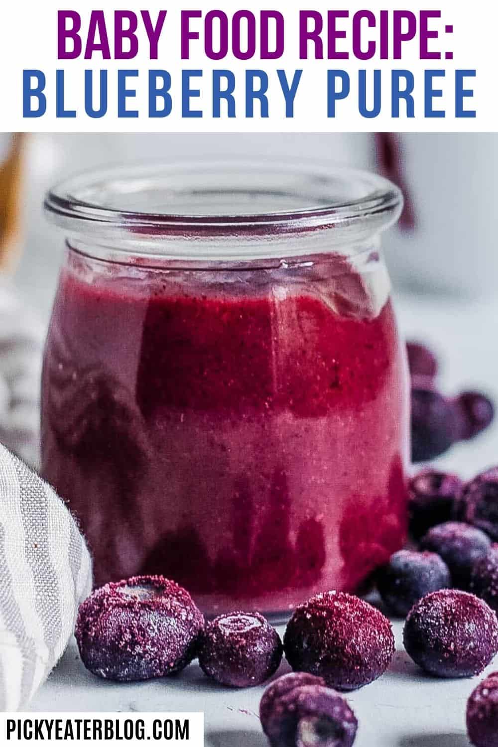 Blueberry Puree For Baby | The Picky Eater - غذای رژیمی