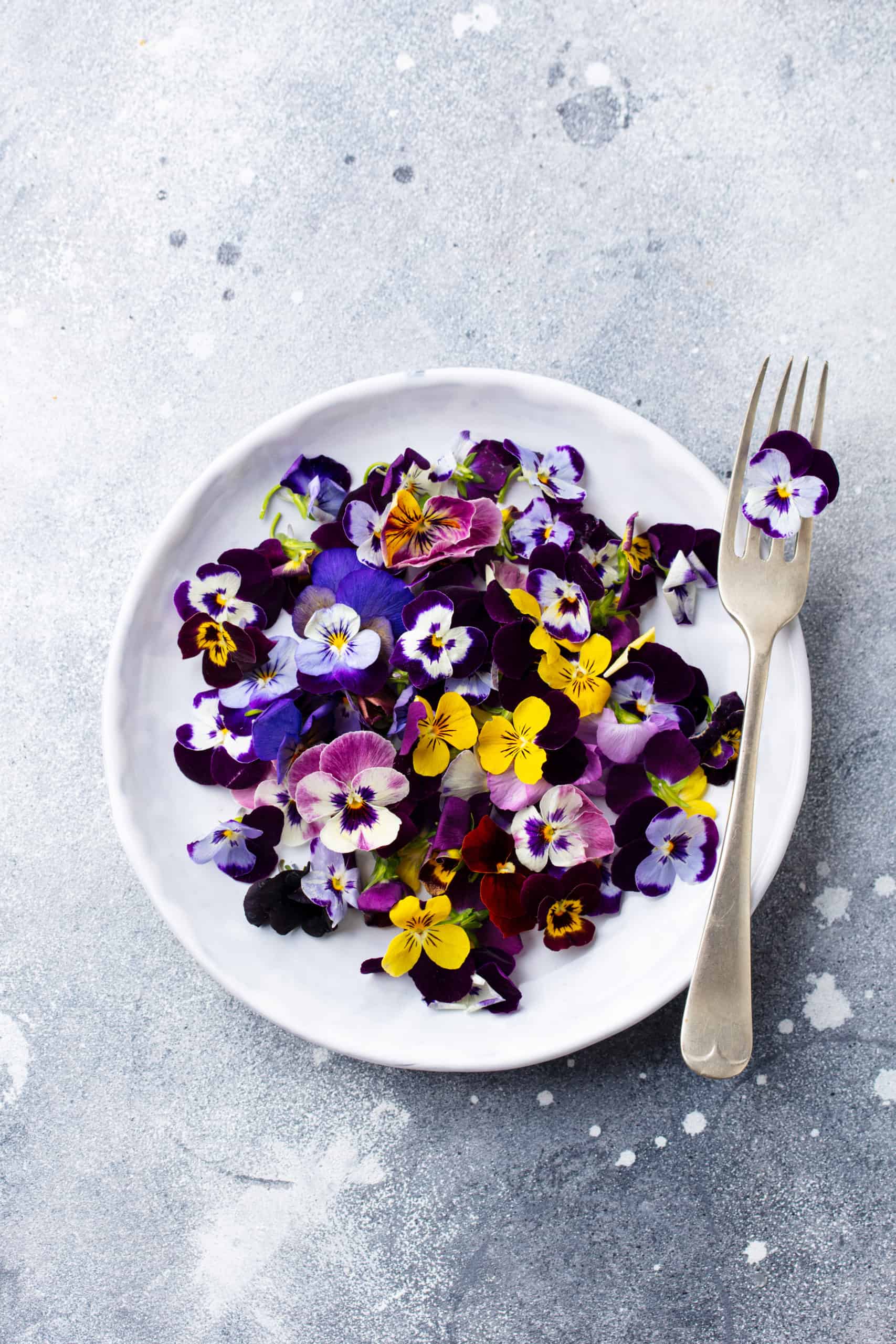 Edible flowers, field pansies, violets on white plate. Grey background. Top view.
