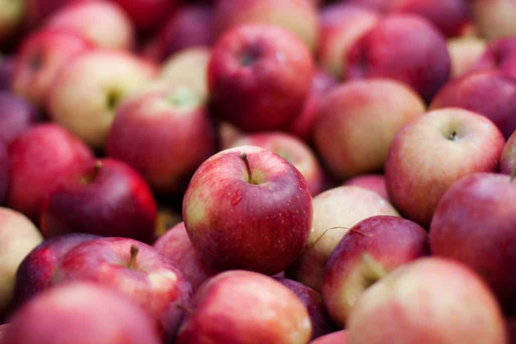 large group of red apples - empire apples