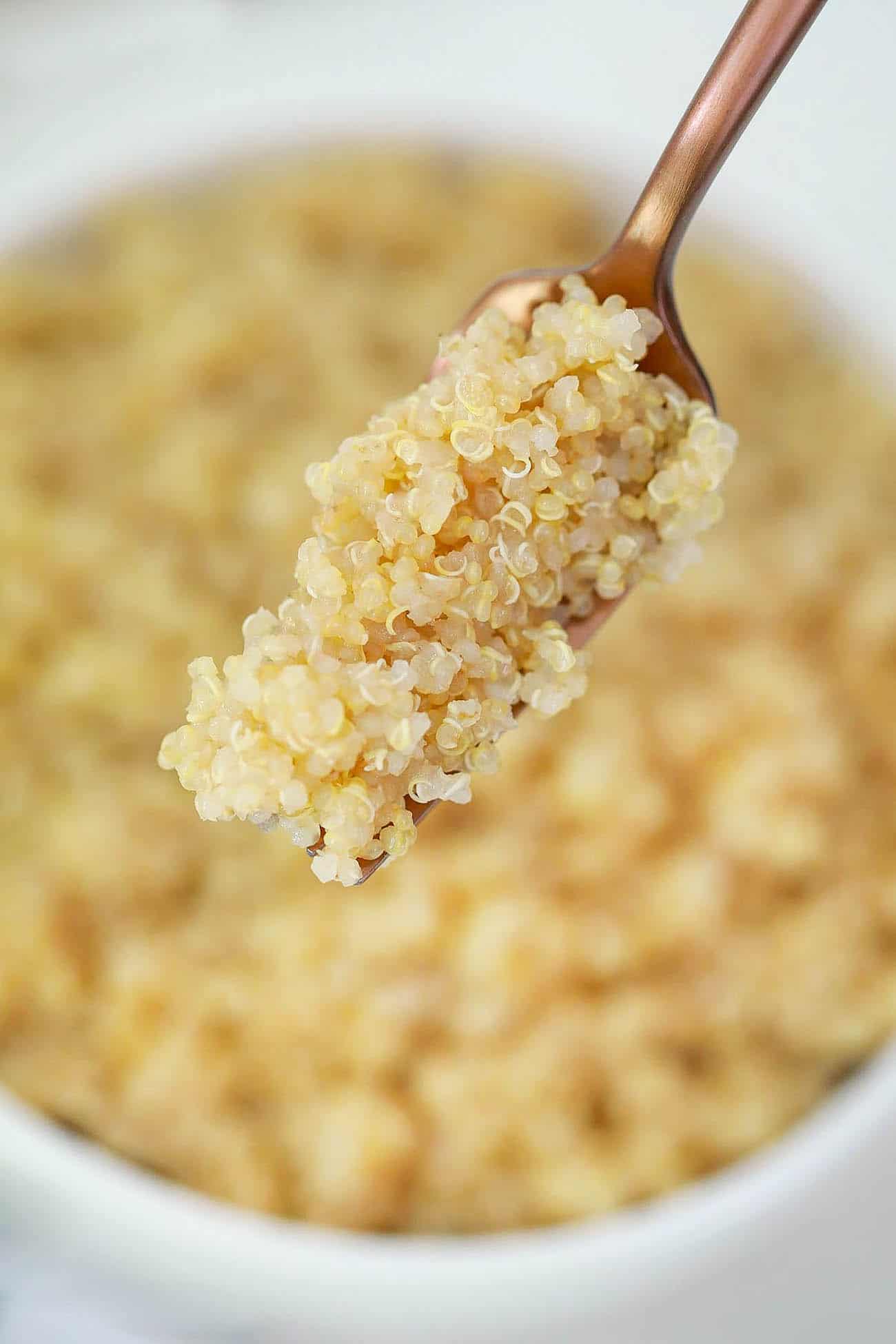 instant pot quinoa on a fork