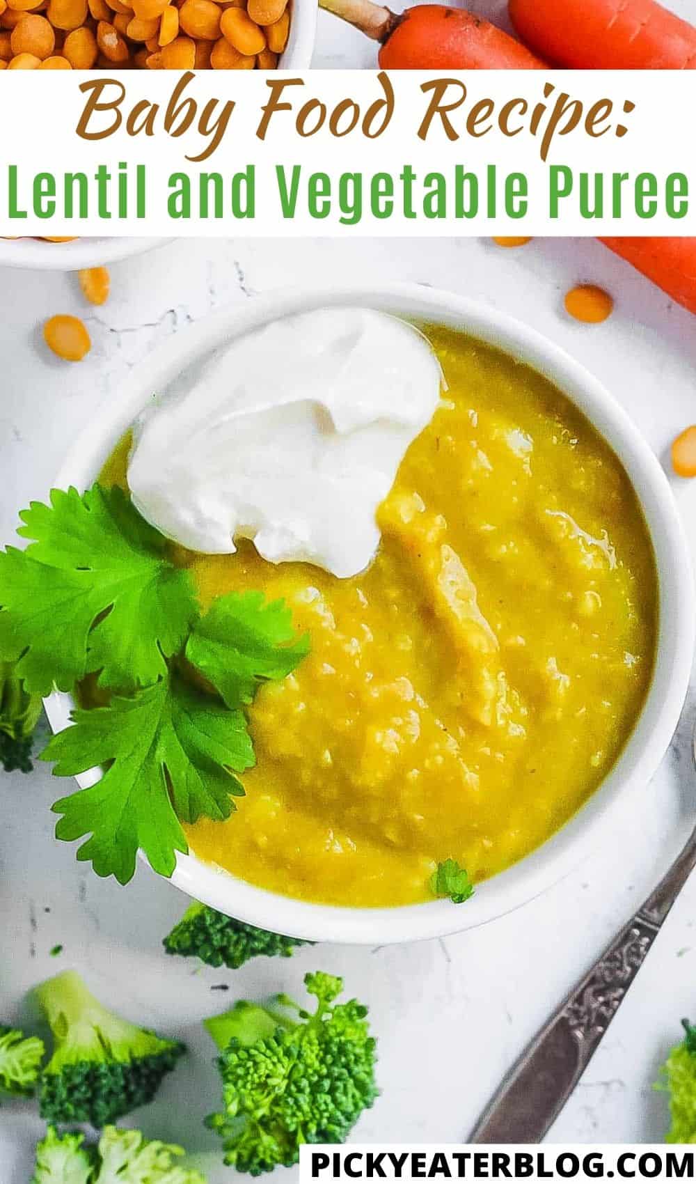 Baby Food Recipes - The Picky Eater