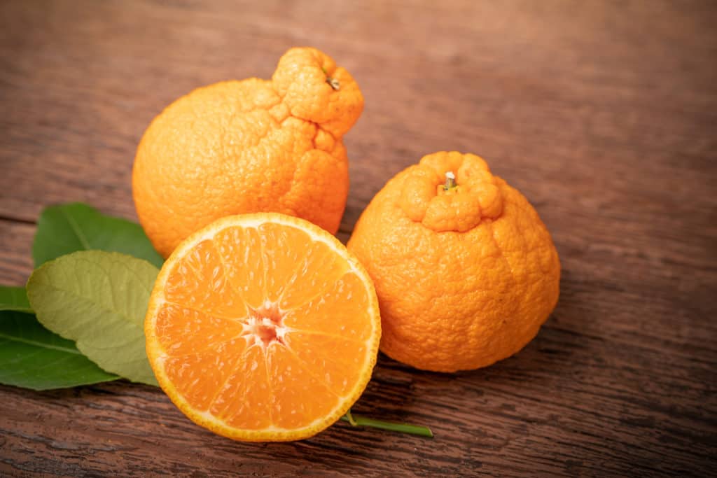 Orange fruit with orange slices and leaves in Wooden background, Dekopon orange or sumo mandarin tangerine with leaves on Wooden background. - foods that start with d