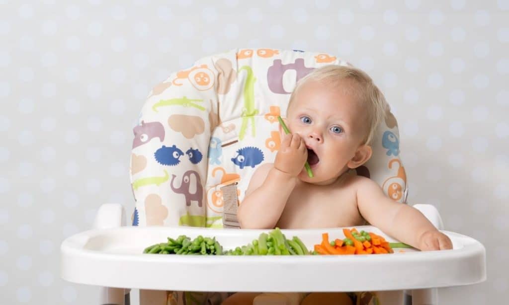 Baby eating vegetable in high chair.