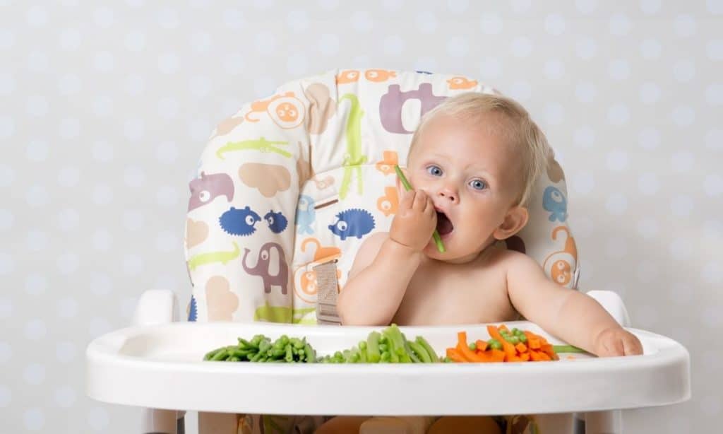 How to Start Baby-Led Weaning + First Foods - Eating Bird Food