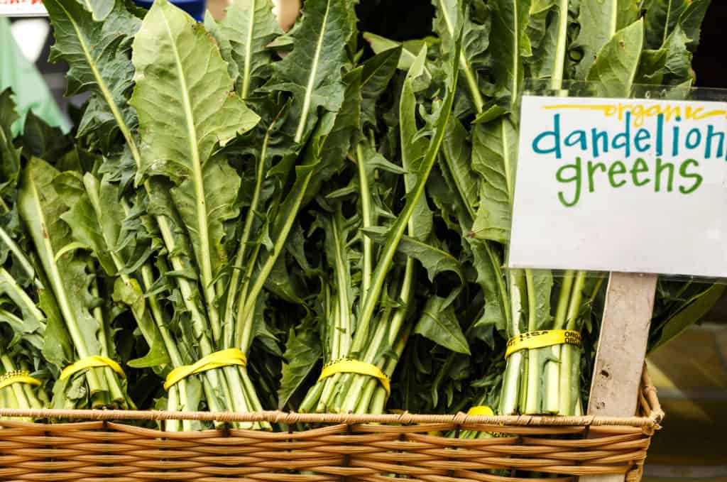 Bunches of Dandelion Greens at a Local Farmer's Market