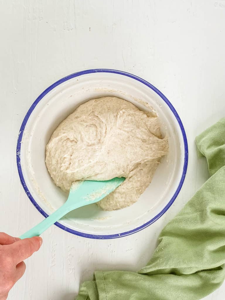 bread dough in a mixing bowl