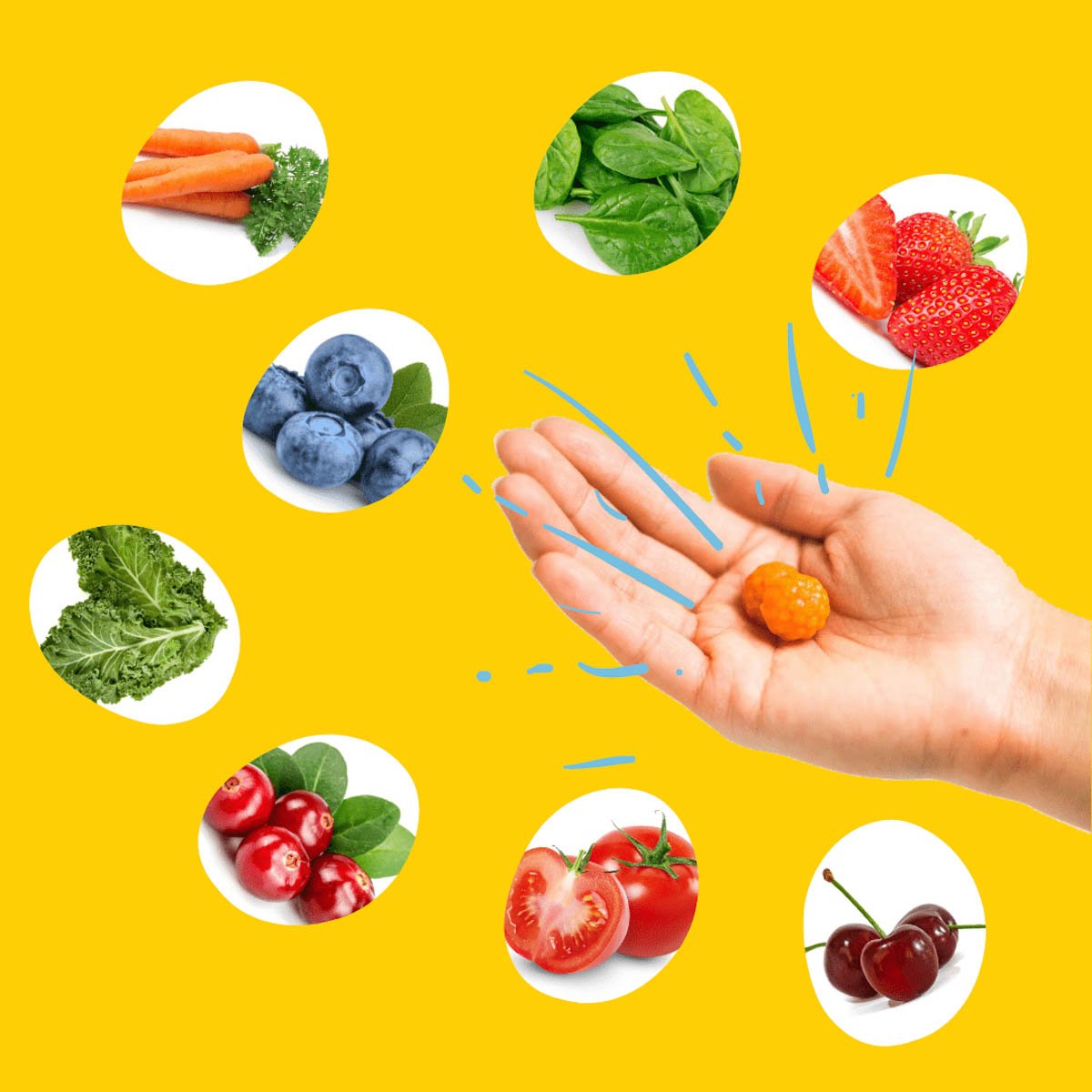 Graphic s،wing all of the fruits and veggies included in First Day Kids Vitamins.