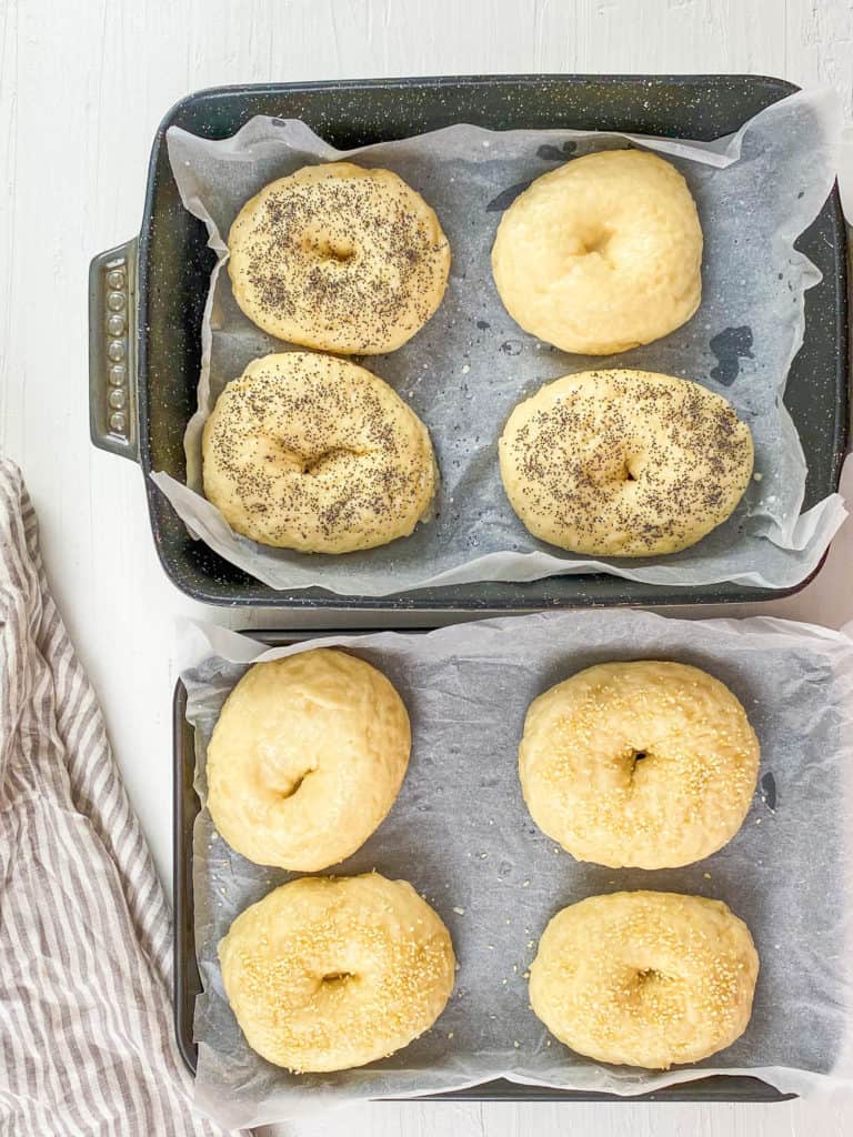 vegan bagels ready to go into the oven