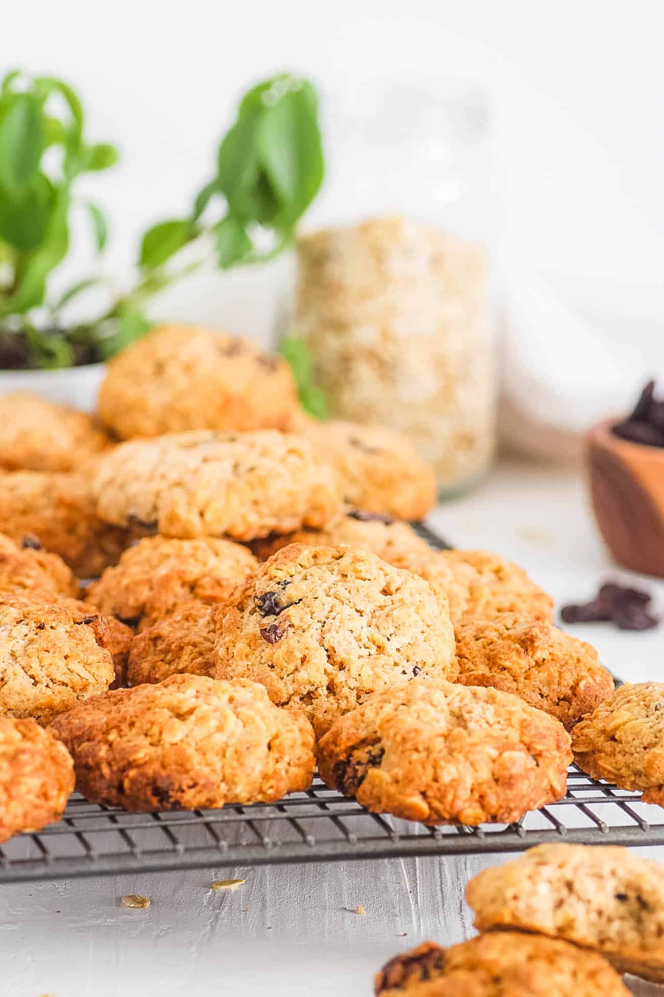healthy sugar free oatmeal cookies recipe with raisins on a wire rack