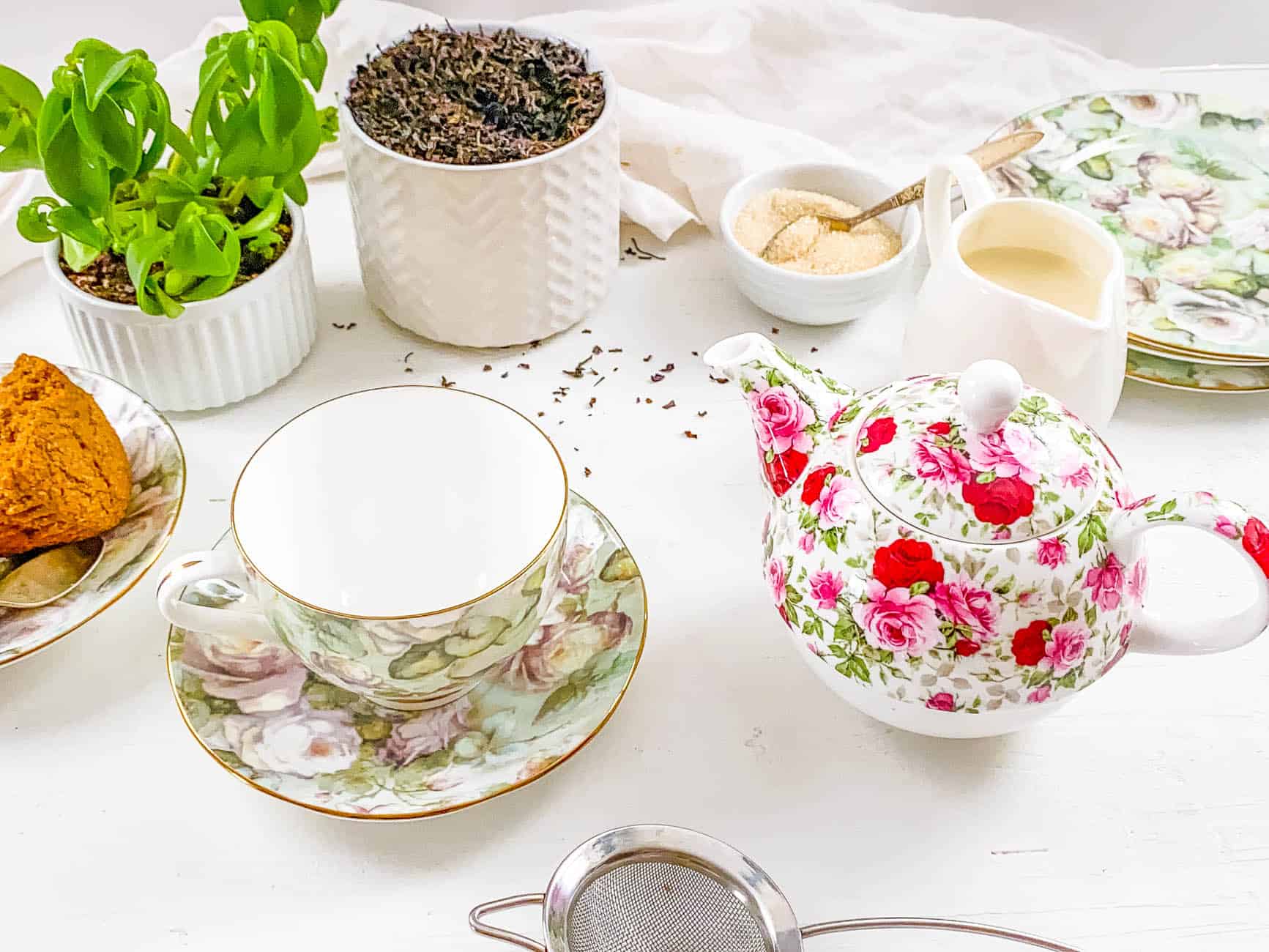 How to Make Tea: A Complete Guide | The Picky Eater