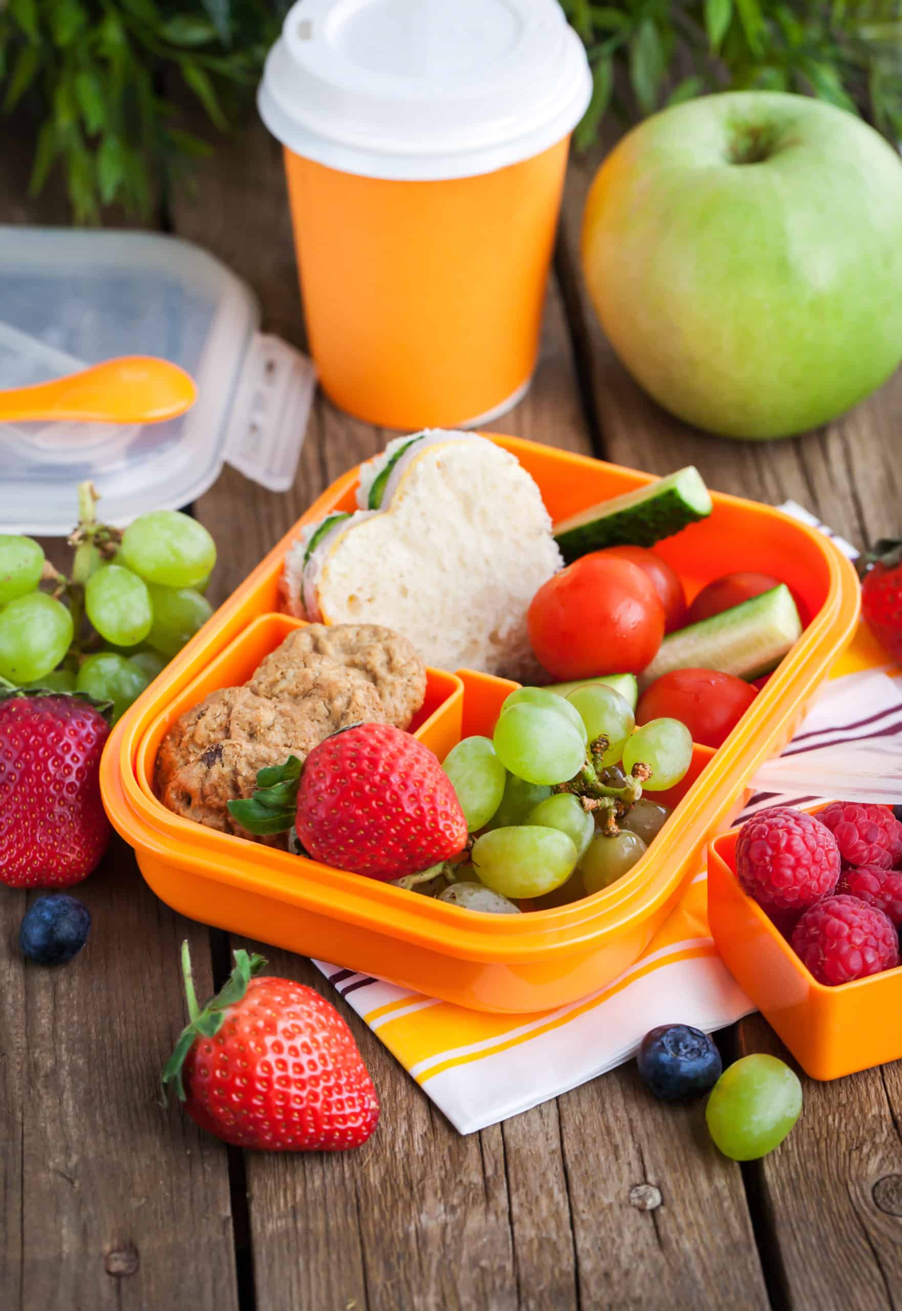 best healthy road trip snacks for kids - Lunch box with sandwich, cookies, veggies and fruits