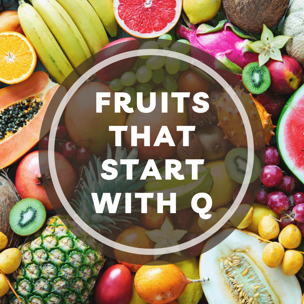 fruits that start with q logo