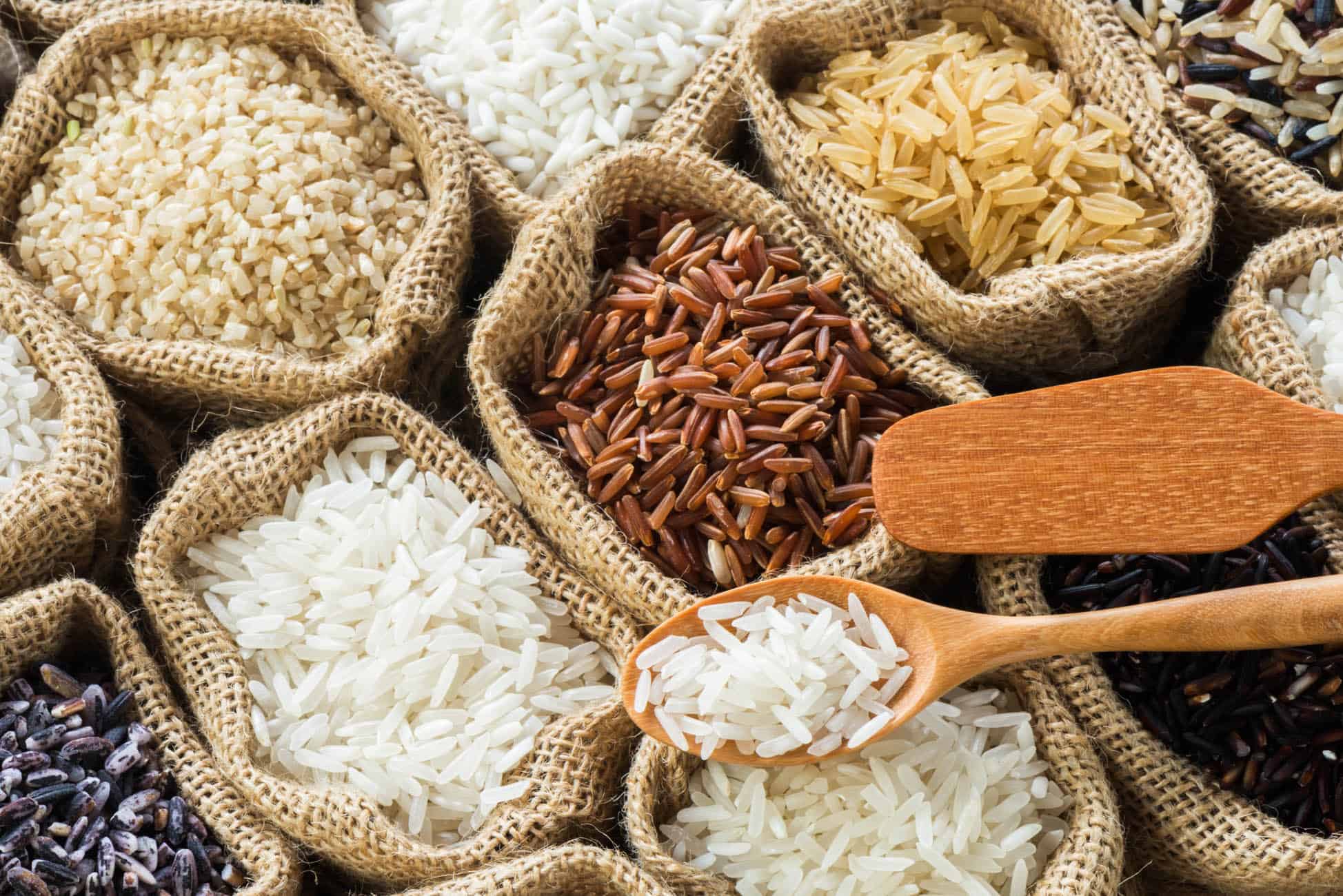 different types of rice in burlap bags - is rice a vegetable or a grain?