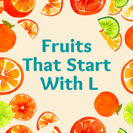 fruits that start with L logo
