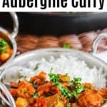 eggplant curry with white rice