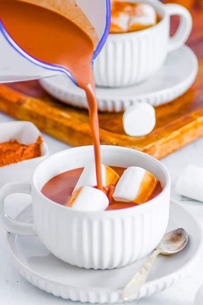 Protein Hot Chocolate The Picky Eater