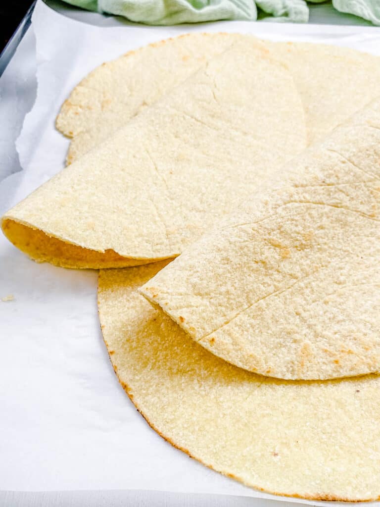 Almond Flour Tortillas Recipe (LowCarb, Keto) Lady in Rainbow