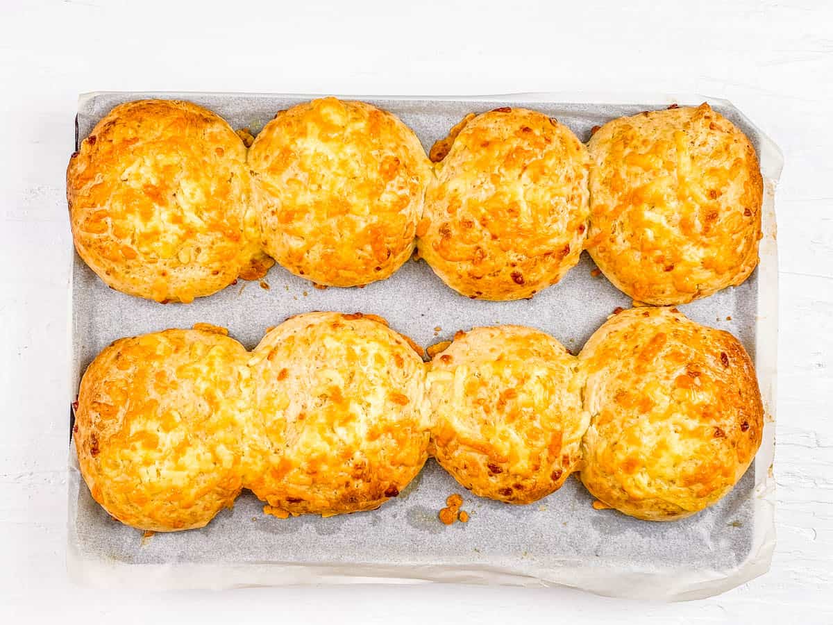 Homemade Cheddar Cheese Buns The Picky Eater