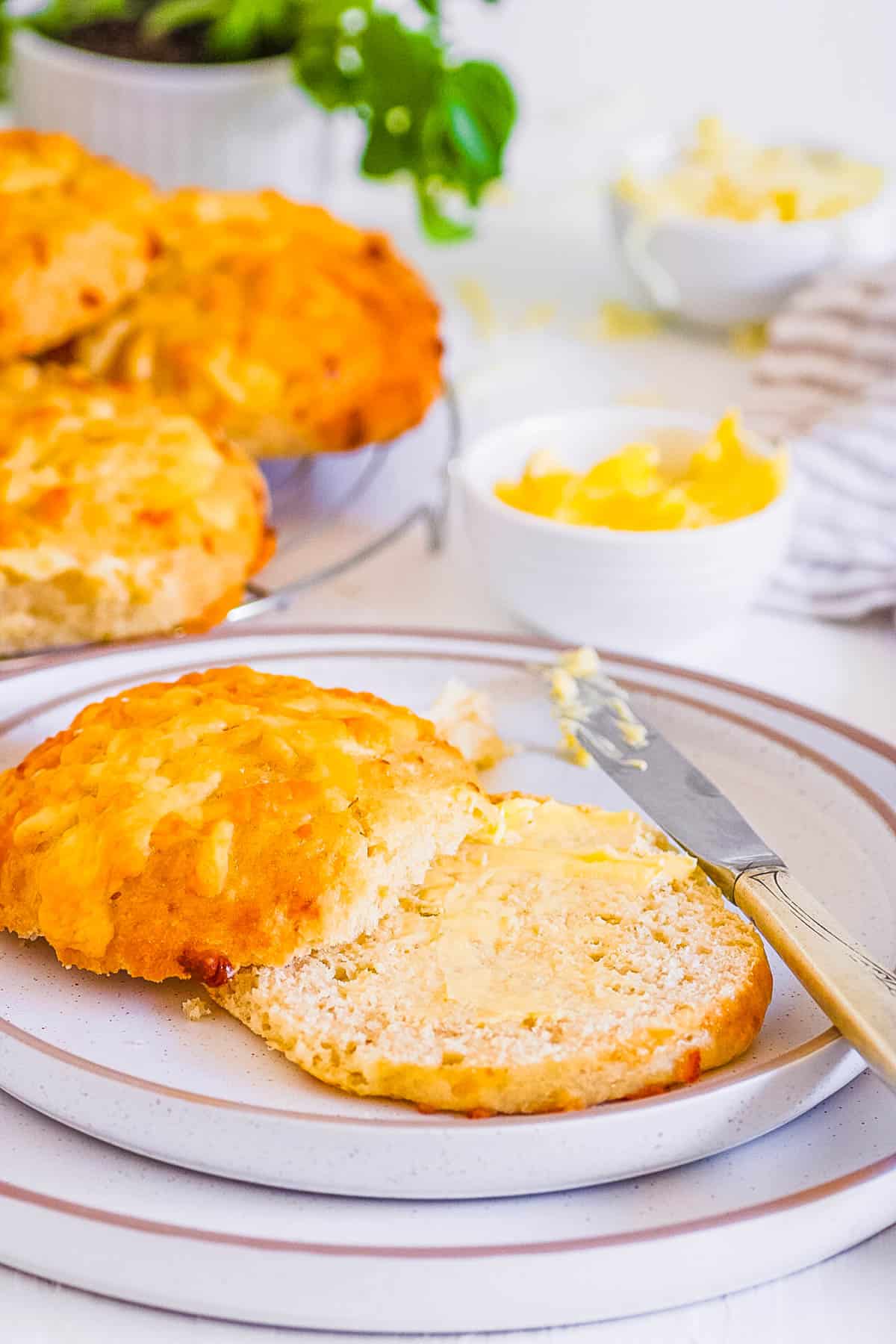 Sliced cheddar cheese buns with butter on a white plate.