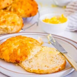 Sliced cheddar cheese buns with butter on a white plate.