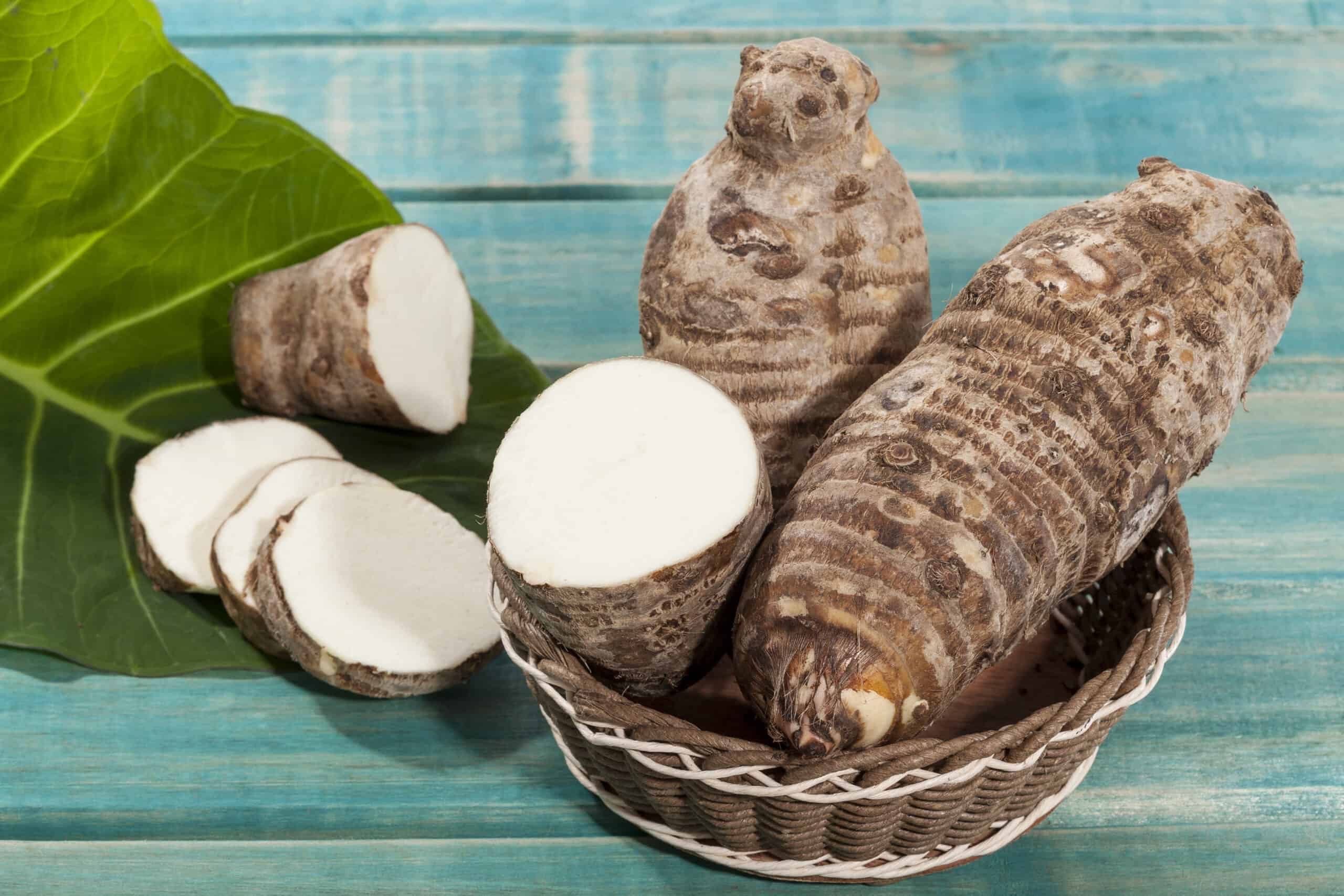 Photo of malanga in a bowl.