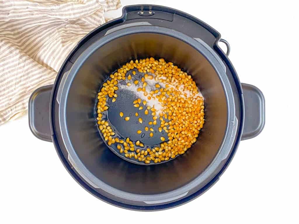 Popcorn kernels and salt in the instant pot.